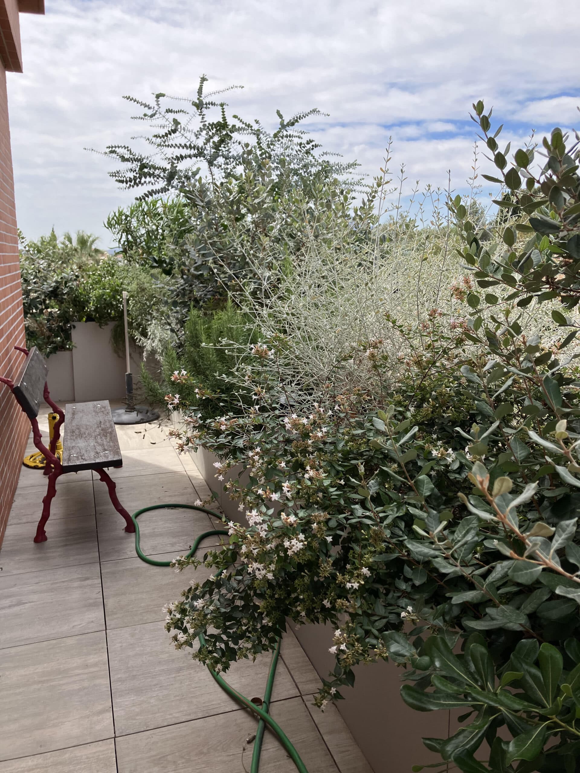 Balcon végétalisé avec arbustes à fleurs, eucalyptus et banc de jardin en bois sur une terrasse carrelée.