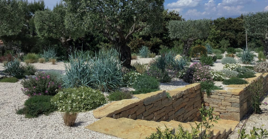 Aménagement Jardin Méditerranéen Sec avec Oliviers et Pierres Jardin méditerranéen avec oliviers, plantes de rocaille et muret en pierre sèche sur un parterre de gravier blanc.
