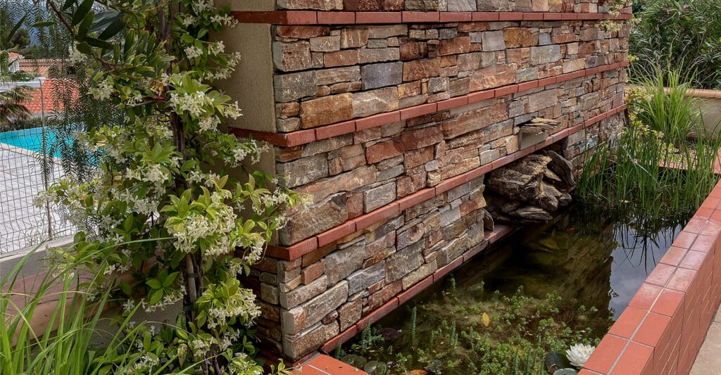 Bassin de Jardin et Mur en Pierre : Aménagement Extérieur Mur en pierre et briques au-dessus d'un bassin de jardin avec jasmin étoilé en fleurs et plantes aquatiques.