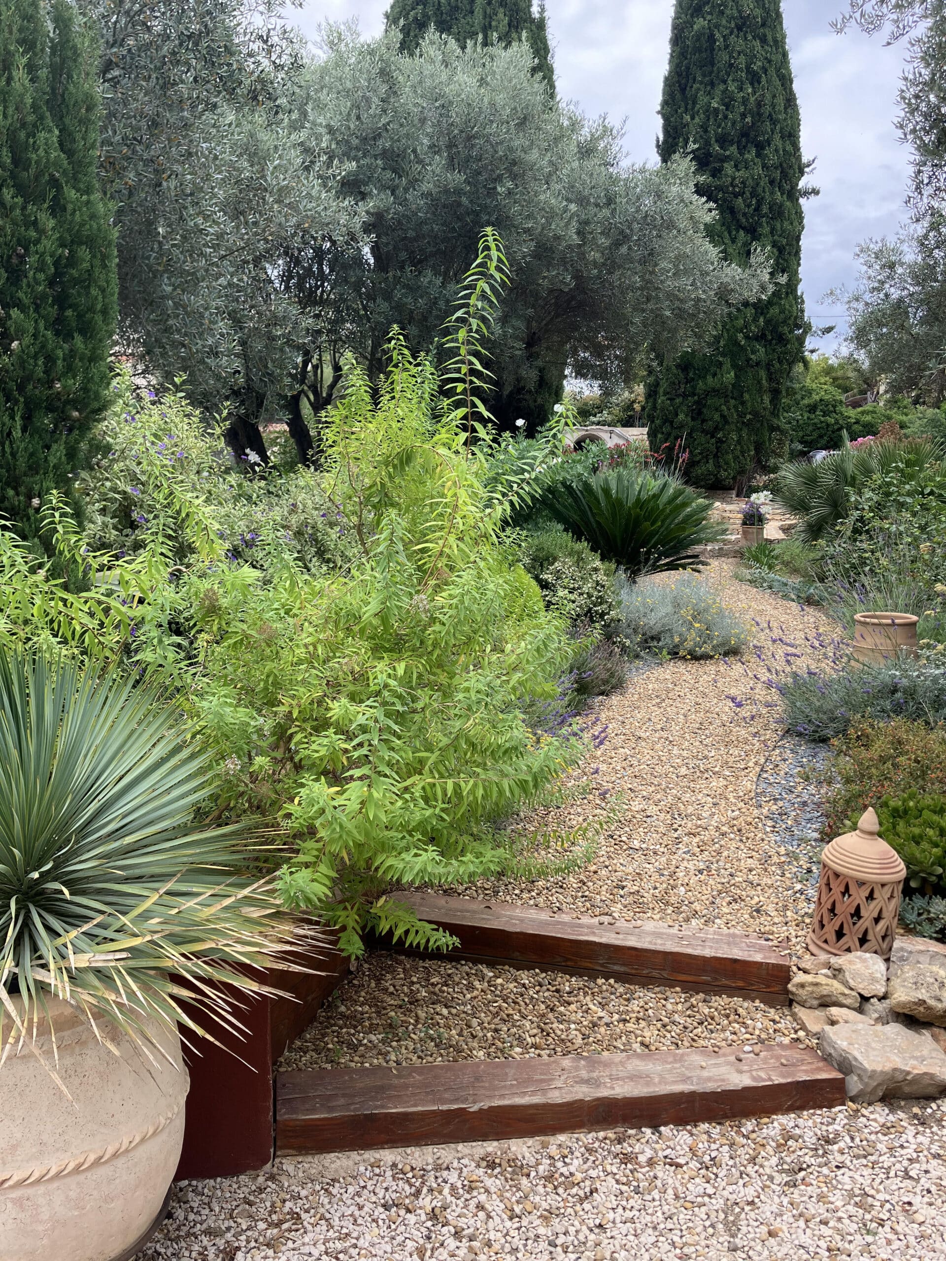 Allée en gravier dans un jardin méditerranéen avec oliviers, cyprès et yuccas, aménagé avec des marches en bois.