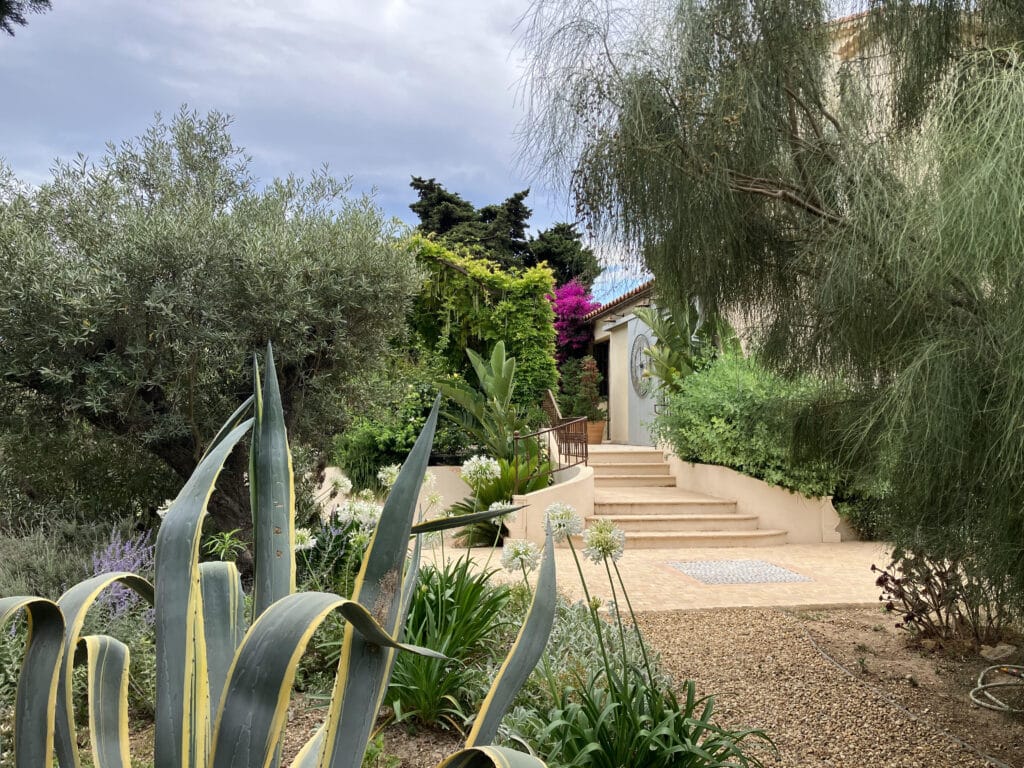 Jardin méditerranéen luxuriant avec agave, olivier et escaliers en pierre devant une villa.
