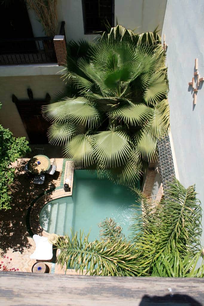 Piscine et patio dans un Riad traditionnel marocain Patio avec piscine turquoise et grand palmier dans une cour intérieure de style Riad traditionnel.