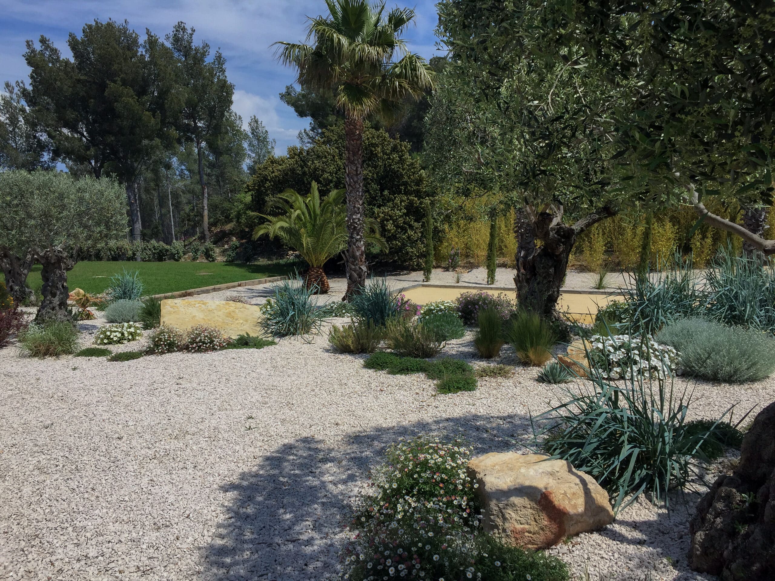 Jardin méditerranéen avec gravier blanc, oliviers centenaires, palmiers et plantes de rocaille sous un ciel bleu.