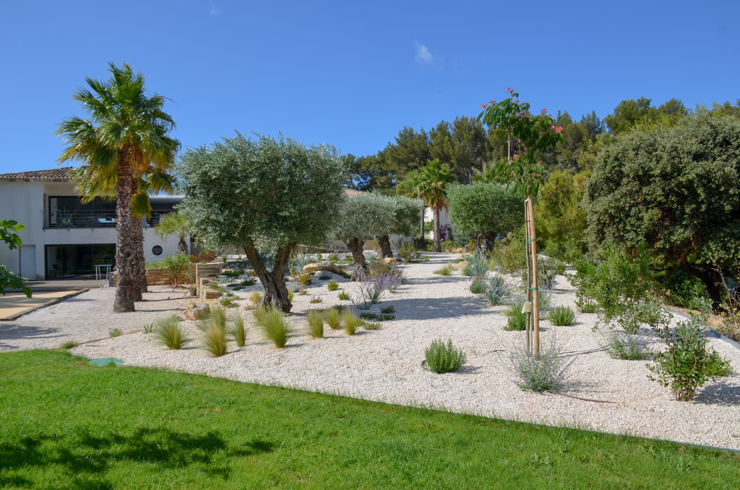 Jardin paysager avec oliviers, palmiers et gravier blanc devant une villa moderne sous un ciel bleu ensoleillé.