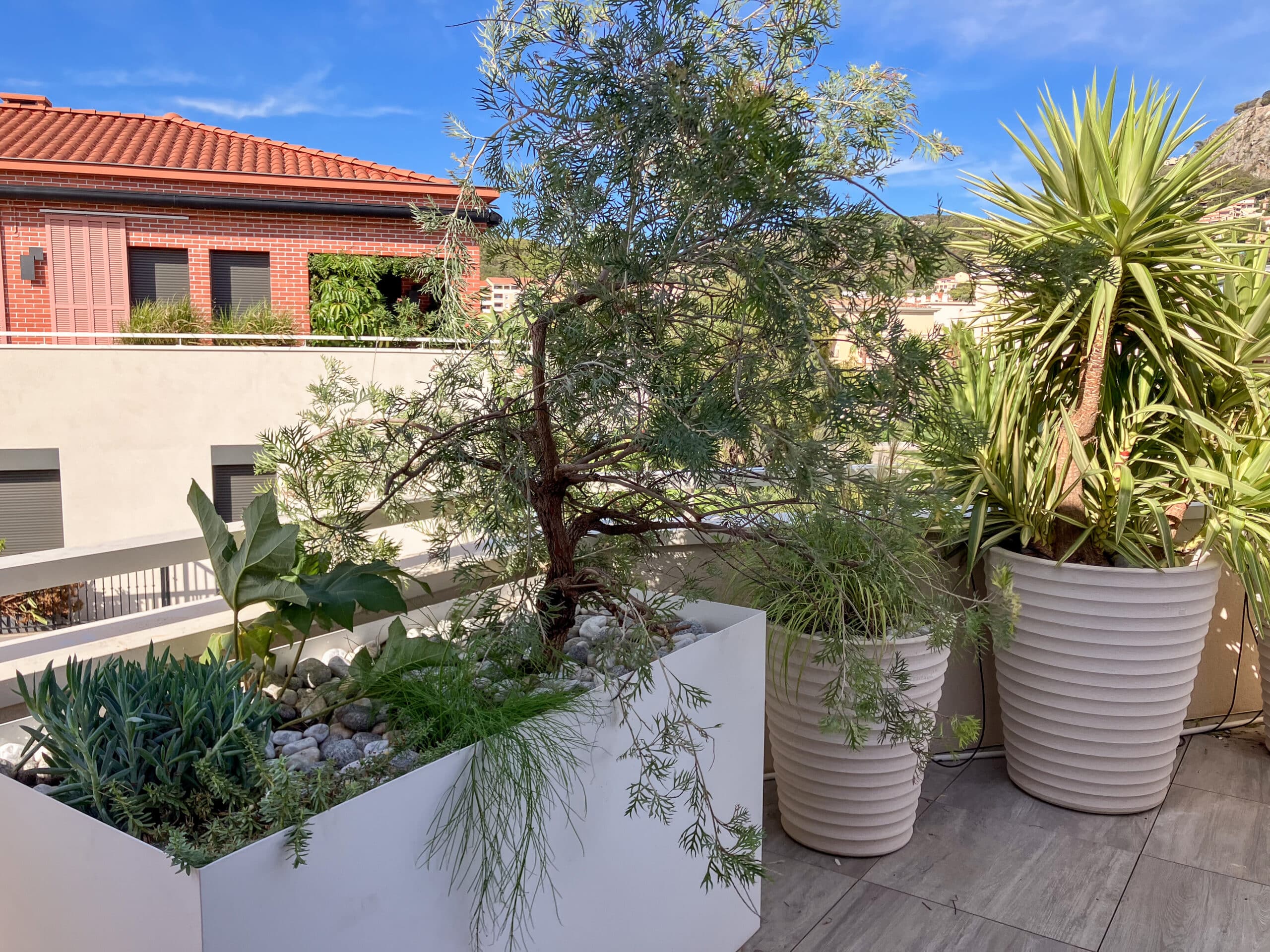 Terrasse moderne avec grandes jardinières design, yucca et arbustes sous un ciel bleu ensoleillé.