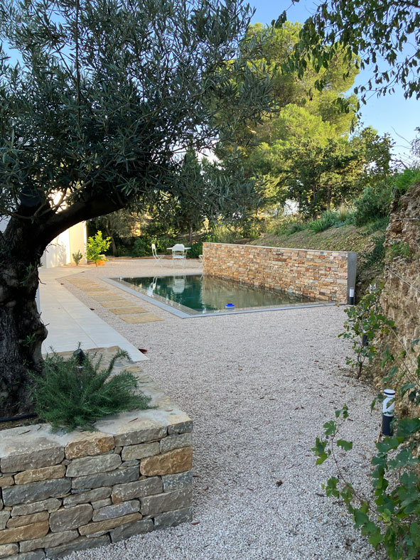 Piscine miroir avec olivier et muret en pierre sèche dans un jardin méditerranéen aménagé de gravier blanc.