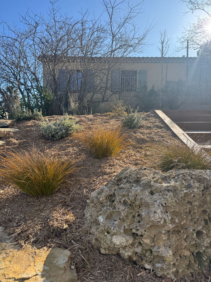 Graminées ornementales, roche calcaire et paillage dans un jardin sec méditerranéen ensoleillé avec maison en arrière-plan.