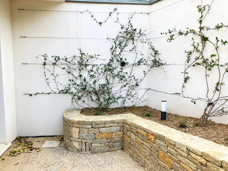 Mur en pierre sèche et jasmin grimpant sur câbles d'acier dans un jardin paysager moderne.