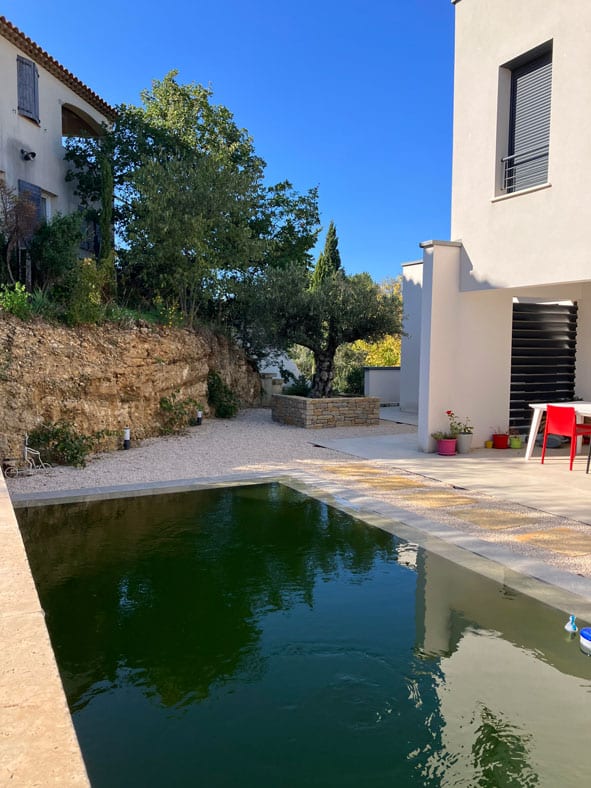 Piscine moderne à l'eau verte trouble devant une maison blanche, jardin avec olivier et muret en pierre naturelle.