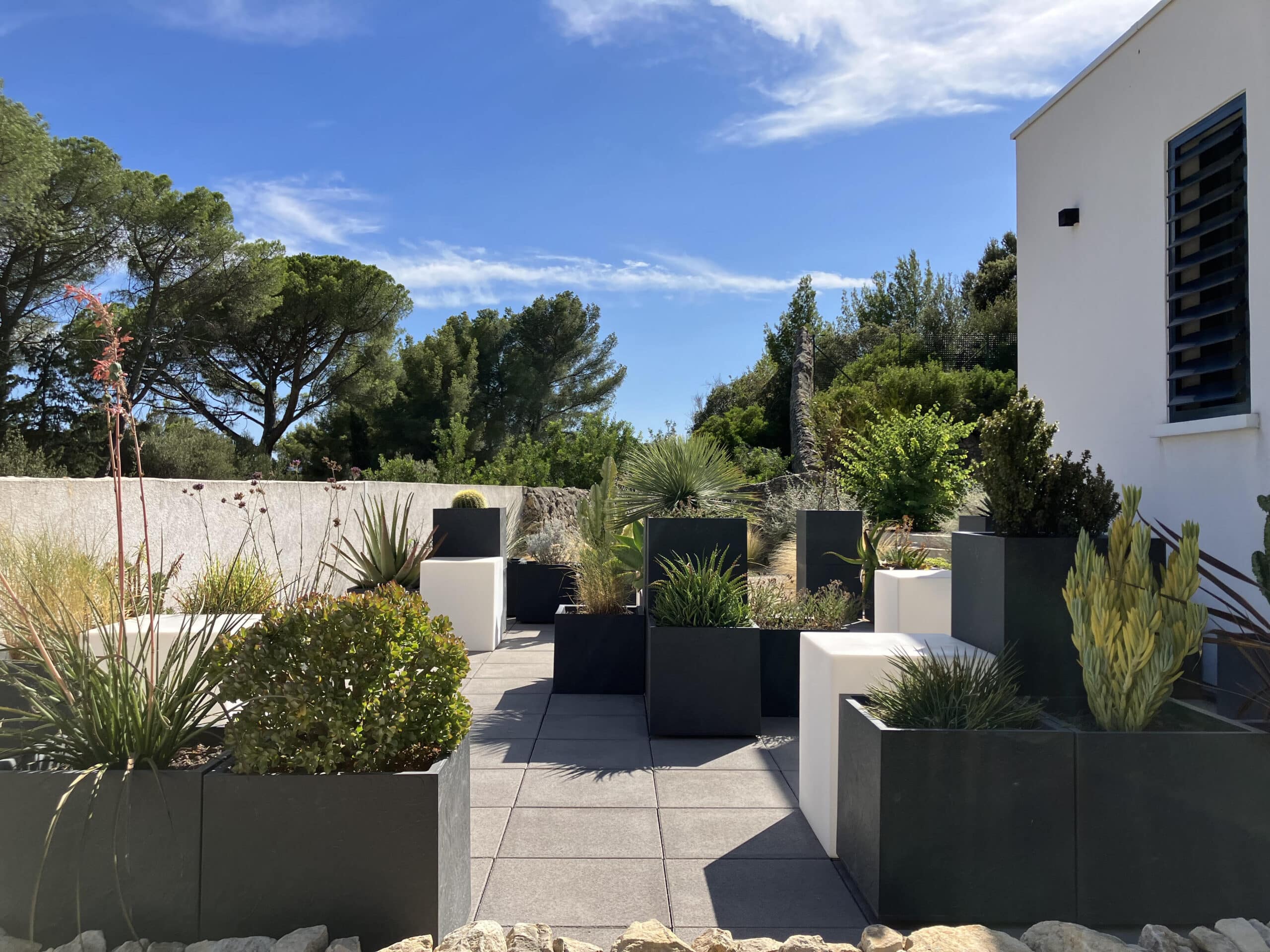Terrasse moderne avec jardinières cubiques noires et blanches, plantes grasses et vue sur pins sous ciel bleu.